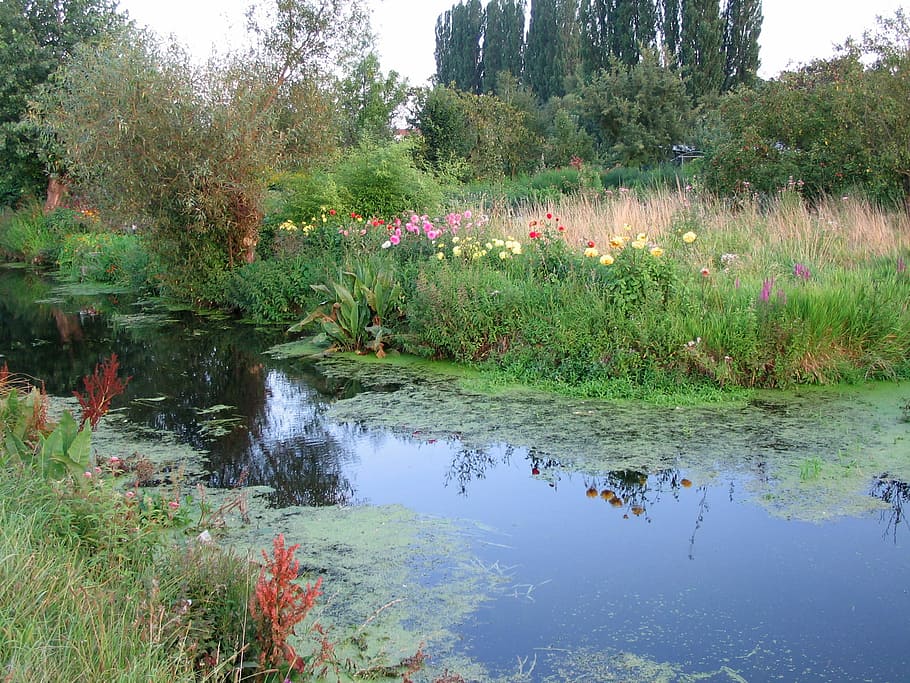 Les Hortillonnages d'Amiens activité éco-responsable à Amiens