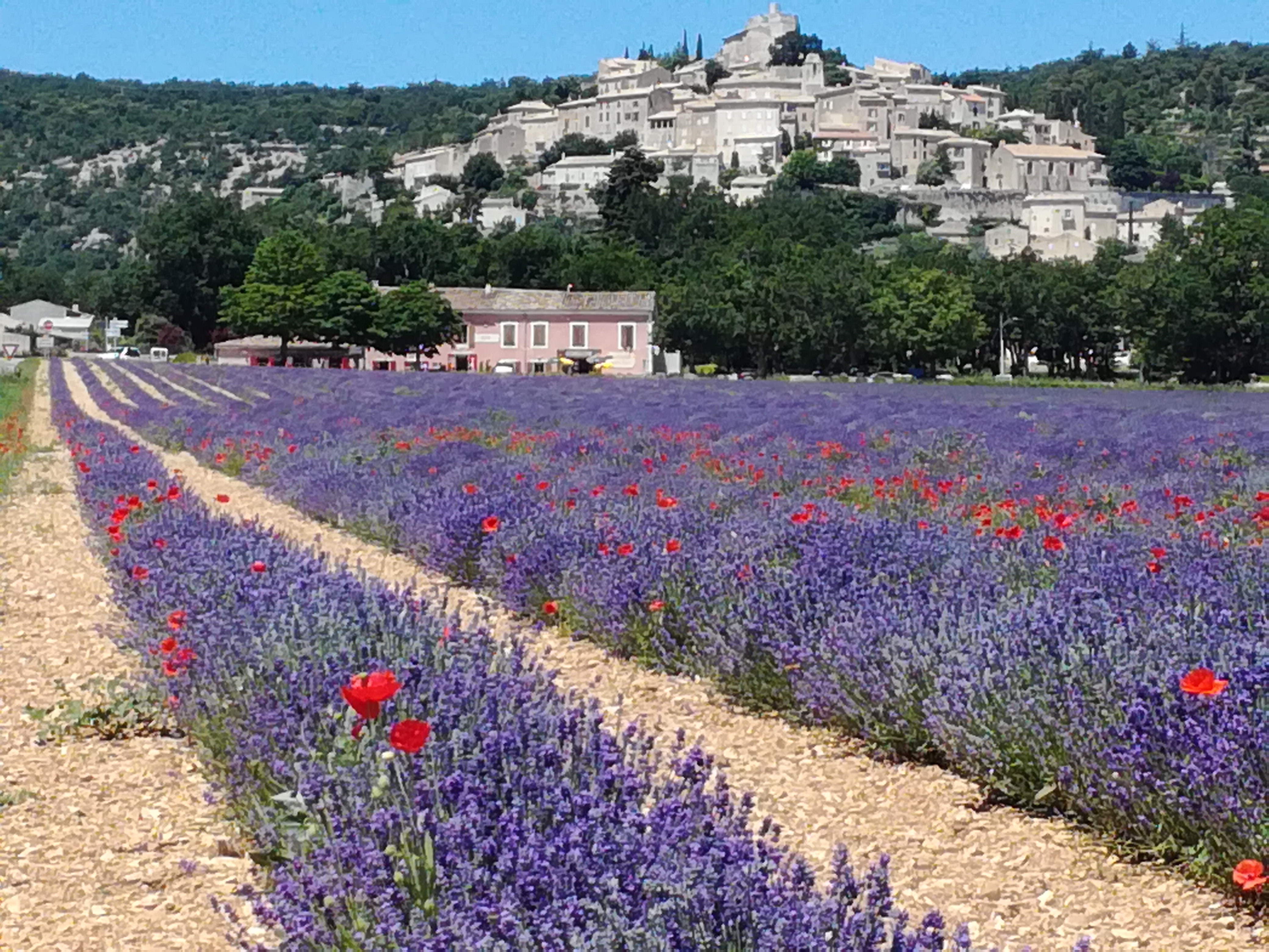 SAS Camping de Valsaintes hotel ecoresponsable à Simiane-la-Rotonde